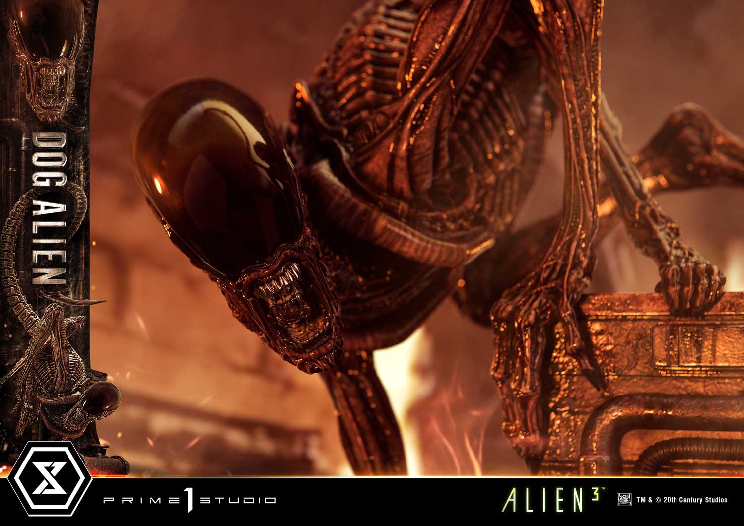 Thumbnail 13